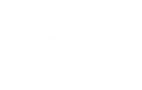 HAIX Logo