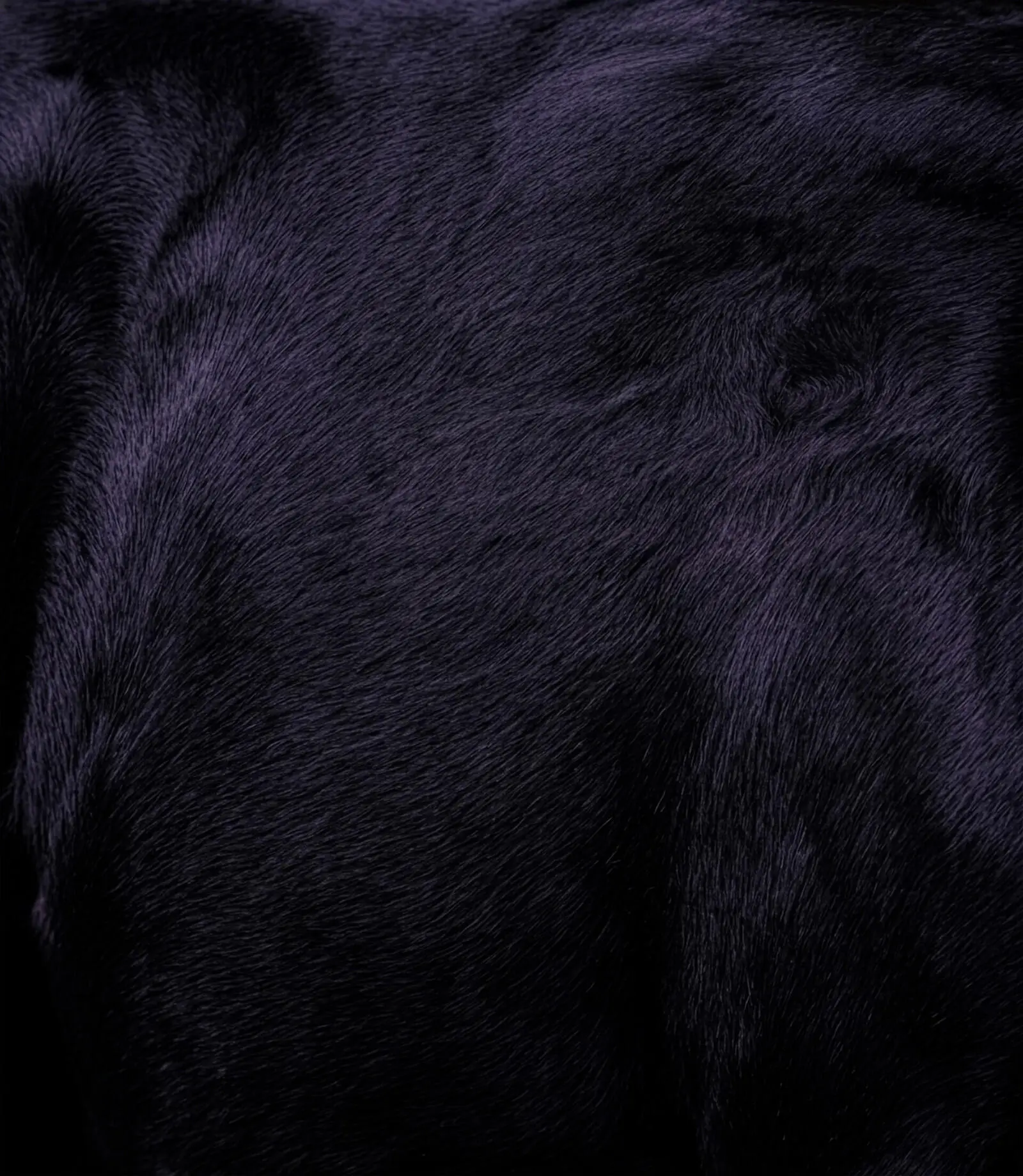 Nahaufnahme von Panther-Fell mit violettem Schimmer